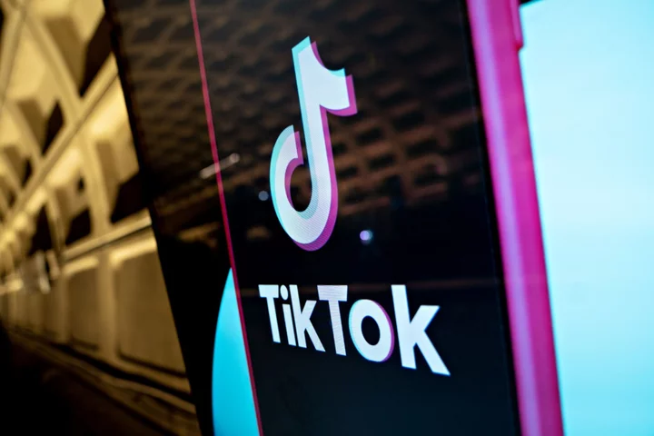 Dutch Ask TikTok for Access to Data as EU Scrutinizes Big Tech